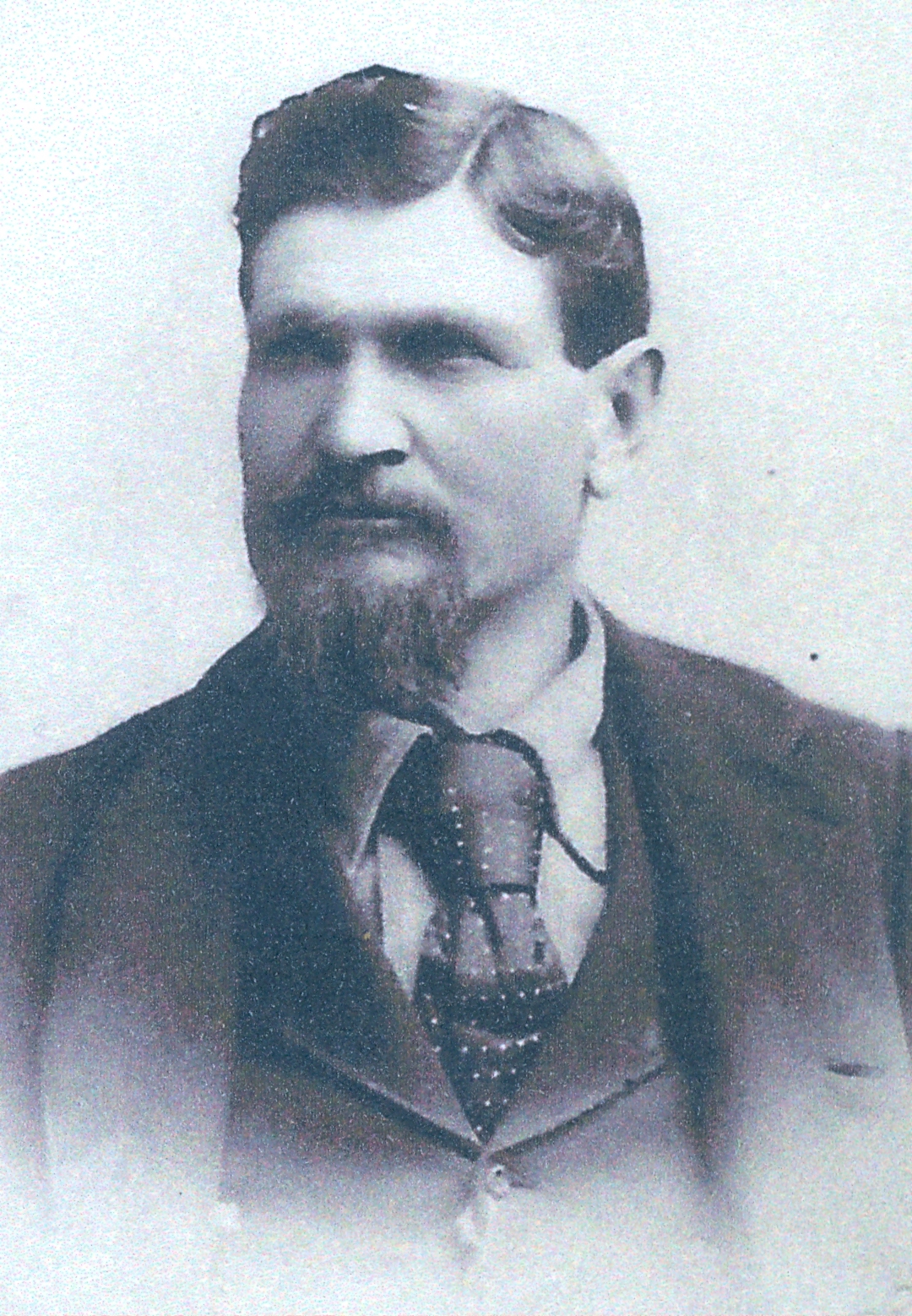 Eli LaFlesh Lee (1843 - 1904) Profile